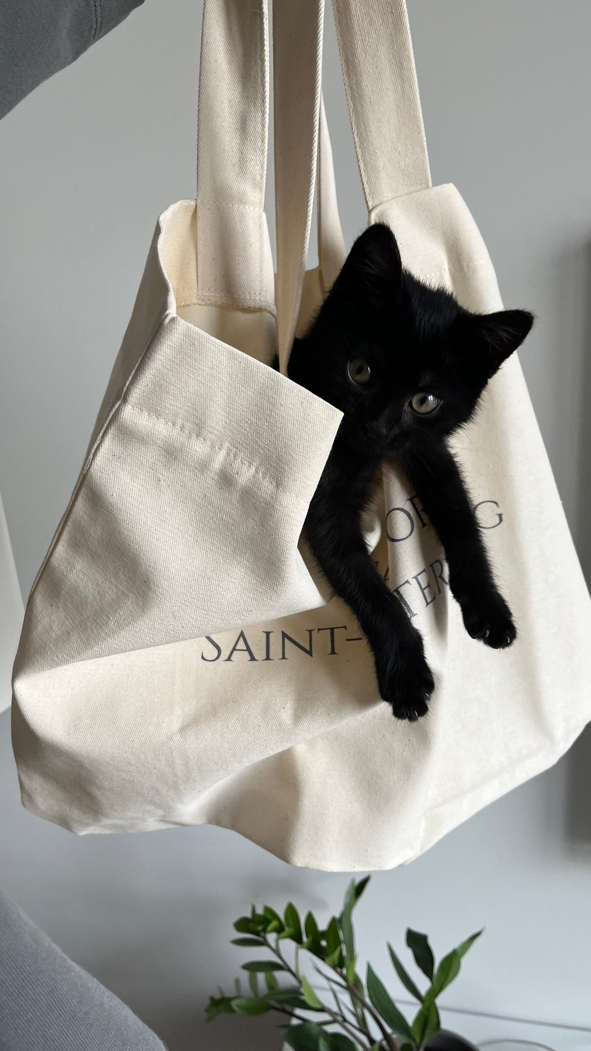Sacs & pochettes