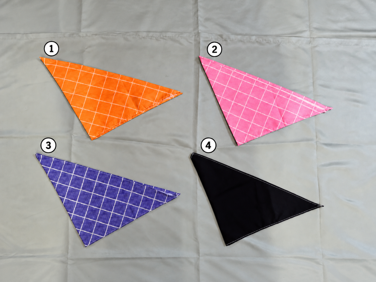 Bandana Personnalisable - 60 cm