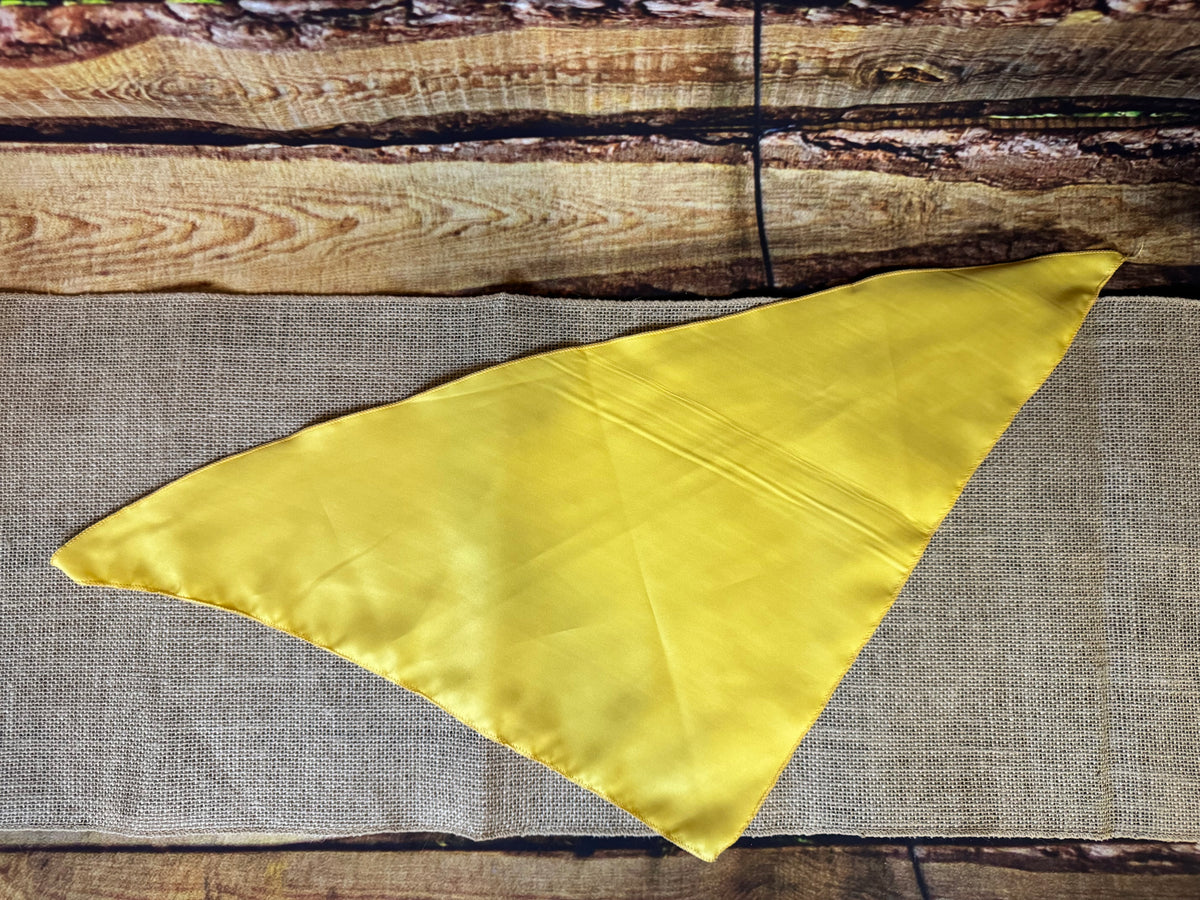 Bandana Personnalisable - 70 cm